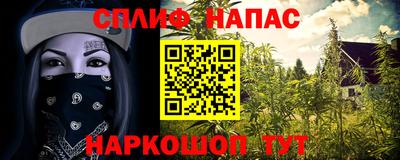 таблы Новозыбков