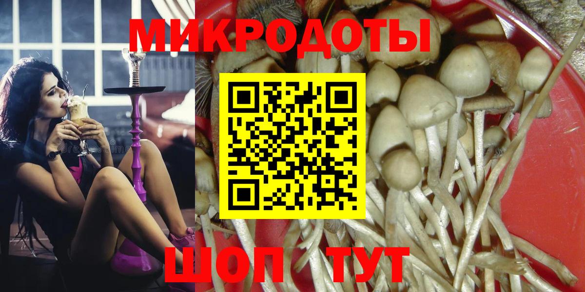 Псилоцибиновые грибы Psilocybe Сургут