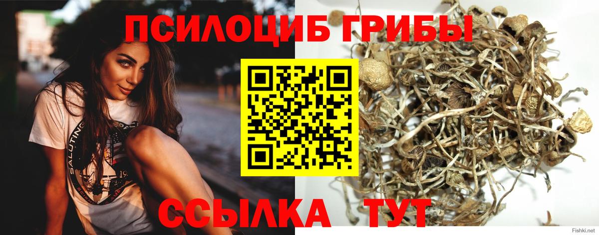 Галлюциногенные грибы мицелий  Вход с VPN  Сургут 